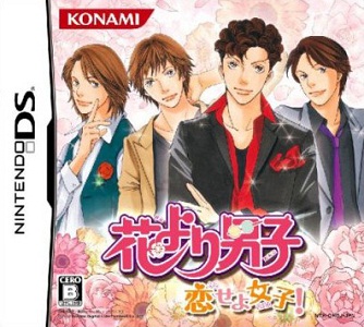 Hana Yori Dango - DS