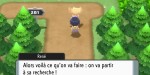 jeux video - Pokémon Perle Scintillante