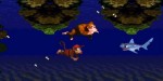 jeux video - Donkey Kong Country