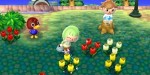 jeux video - Animal Crossing - New Leaf