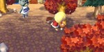jeux video - Animal Crossing - New Leaf