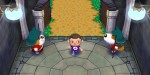 jeux video - Animal Crossing - Let's Go To The City