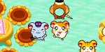 jeux video - Hamtaro - Ham Ham Games