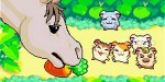 jeux video - Hamtaro - Rainbow Rescue