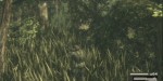 jeux video - Metal Gear Solid 3 - Snake Eater