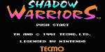 jeux video - Ninja Gaiden / Shadow Warriors