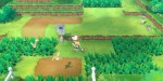 jeux video - Pokémon Let’s Go Evoli