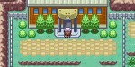 jeux video - Pokémon Vert Feuille