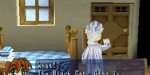 jeux video - Tail Concerto