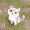 CaptainOkami