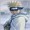 Hoshino
