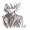 soul13eater13evans