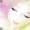 ocelily