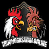 Logo truonggasavan