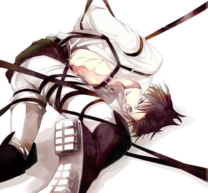 Image 1 Collection Jun