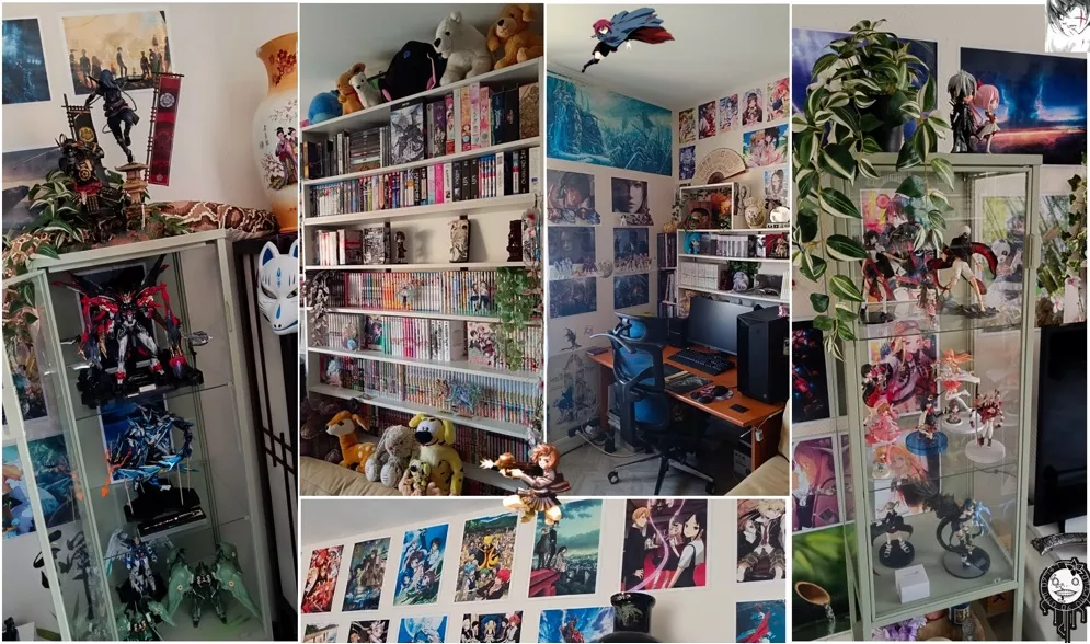 Image 1 Collection ShakuganKenshin