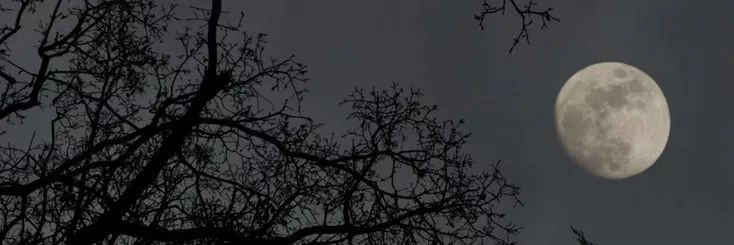 Lunatica