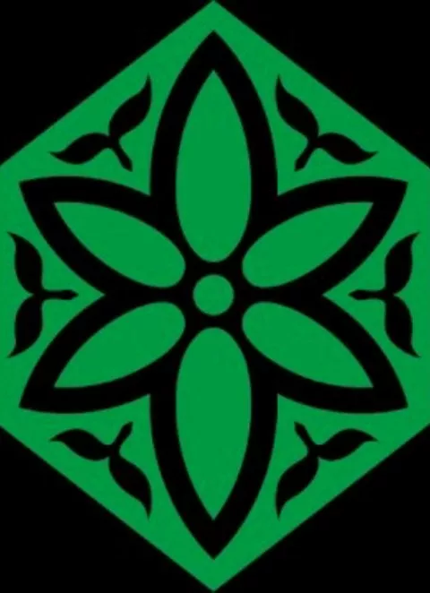 ryosam356nega