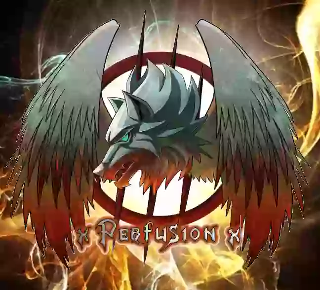 xperfusionx