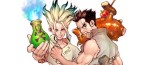 Un fanbook pour Dr. Stone