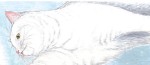Le manga Mazarian annoncé par naBan
