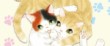 actualité manga - news illustration