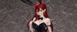 Erza de Fairy Tail en bunny chez FREEing