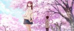 Le film d'animation Kimi no Suizo wo Tabetai se précise