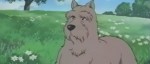 Un chien des Flandres, bientôt en DVD chez Black Box