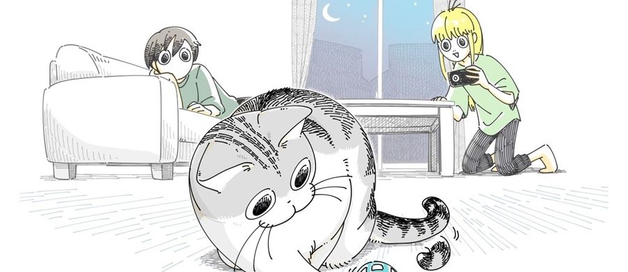 Glénat annonce le manga Nights with a Cat