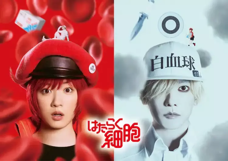 Hataraku Saibo live visual.
