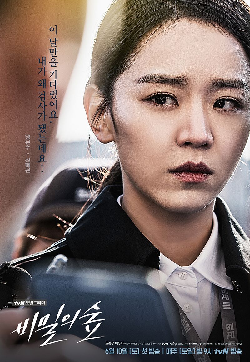 Stranger secret forest drama poster 4