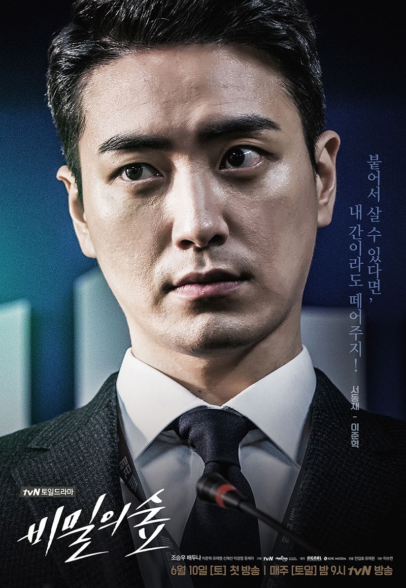 Stranger secret forest drama poster 5