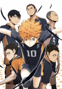 Haikyuu visual 6