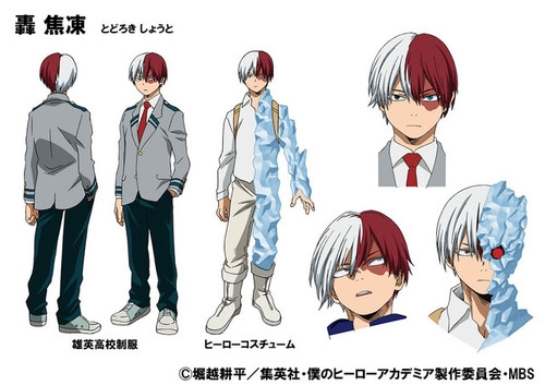 My hero academia anime todoroki