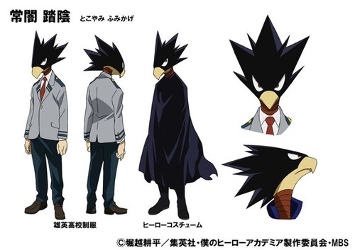 My hero academia anime tokoyami