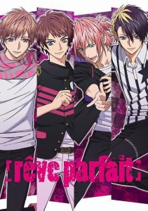 Dynamic chord reve parfait