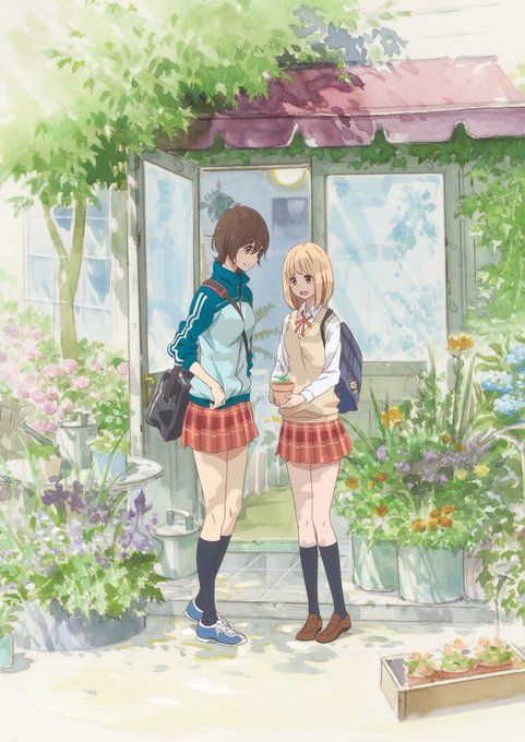 Asagao_to_kase san anime visual 2