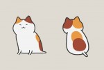 Mameneko azuki character design