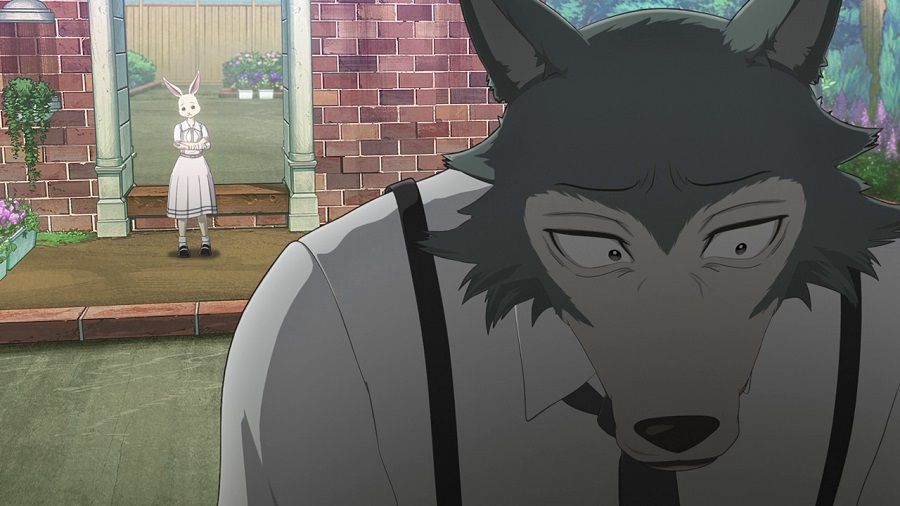 Beastars anime screen 9