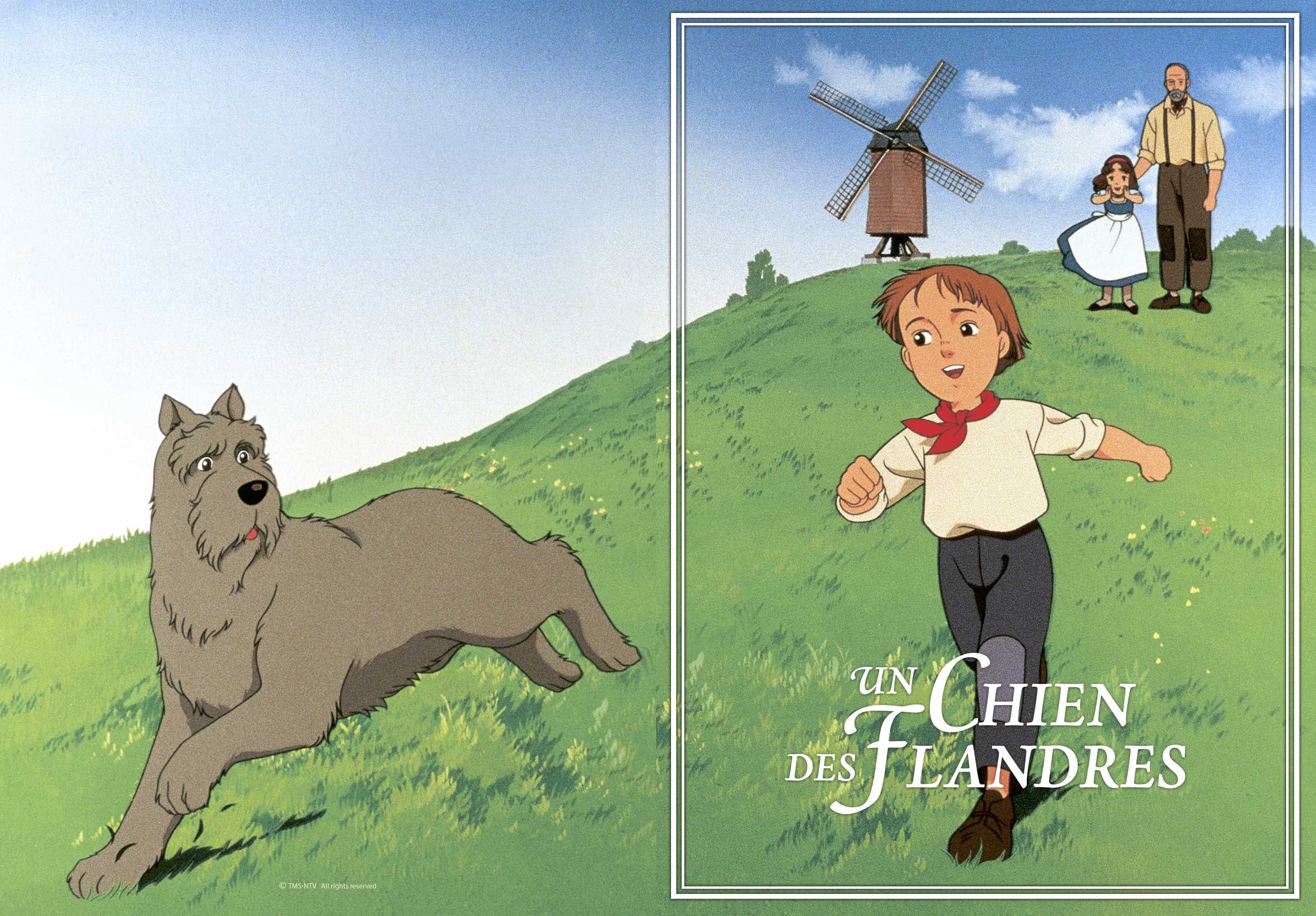 Chien des flandres anime