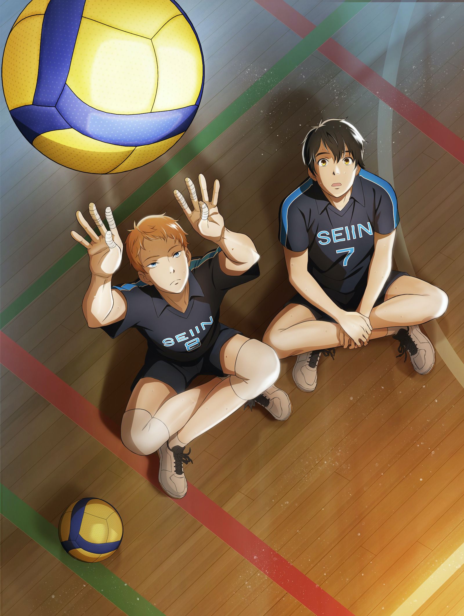 Visuels dvd 2.43 Seiin High School Boys Volleyball Team Seiin High School Boys Volleyball Team visual anime visual 4 Manga news