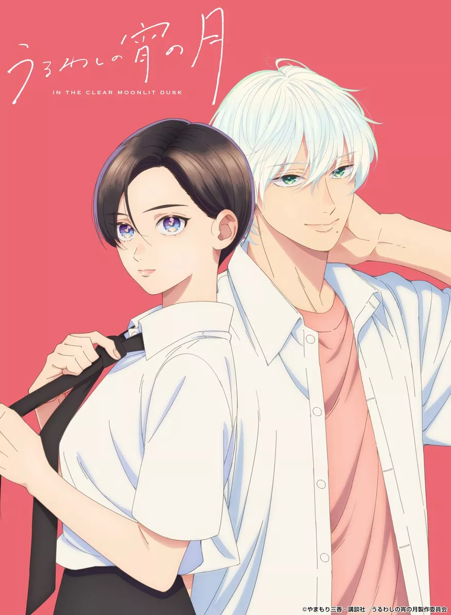 Ton visage au clair de lune anime visual.