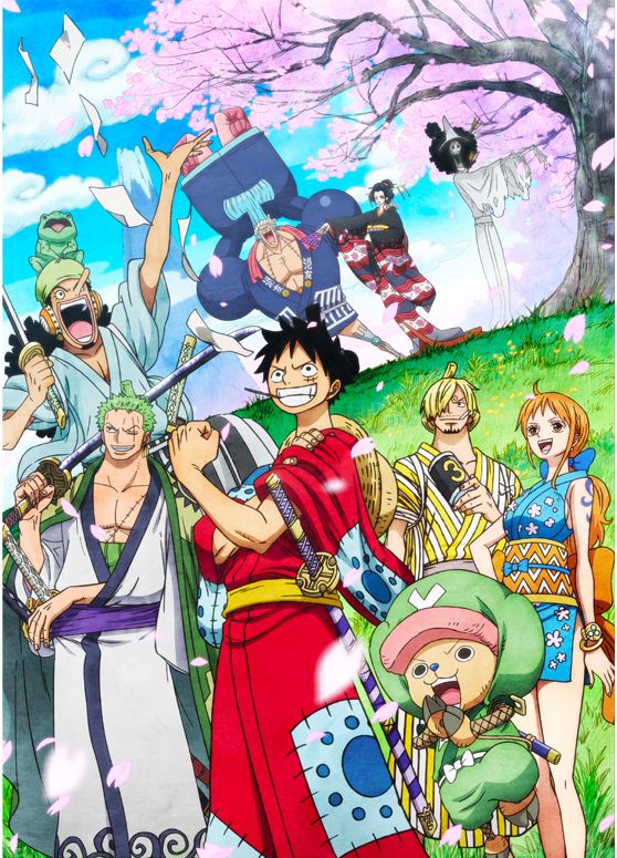 One piece anime arc wano