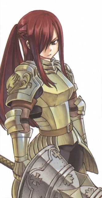 Erza scarlet manga visual 1