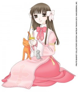 Fruits basket visual 2