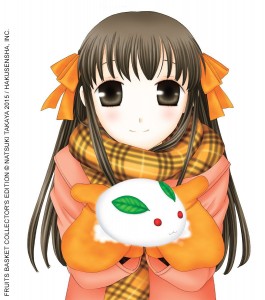 Fruits basket visual 9