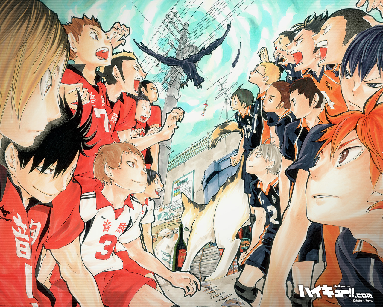 Haikyu visual 4