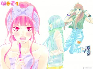 Kimi ni todoke visual 13