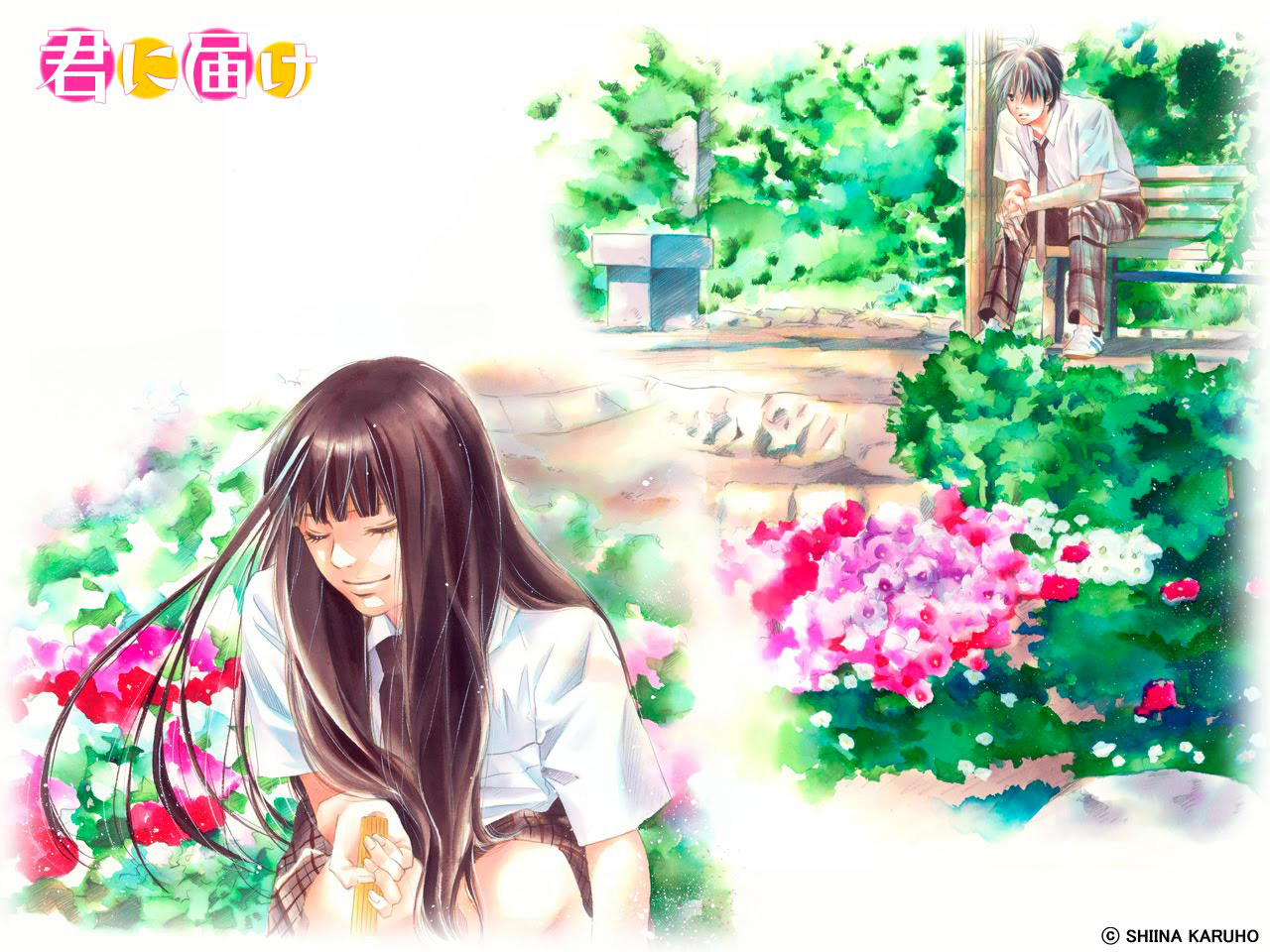 Kimi ni todoke visual 1